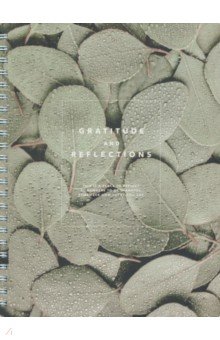 

Тетрадь Botanica. Эвкалипт популус, 120 листов, клетка