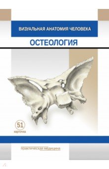 Визуальная анатомия человека Остеология Карточки 51 штука 811₽