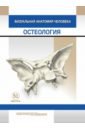 Визуальная анатомия человека. Остеология. Карточки, 51 штука - Варенцов В. Е., Тимофеева М. О.