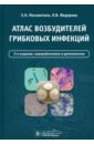 Атлас возбудителей грибковых инфекций - Москвитина Екатерина Николаевна, Федорова Любовь Валерьевна