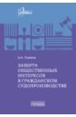 Защита общественных интересов в гражданском судопроизводстве. Монография - Туманов Дмитрий Александрович