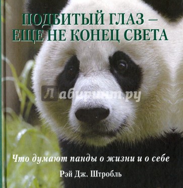 Подбитый глаз - еще не конец света. Что думают панды о жизни и о себе