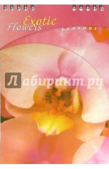 Блокнот А5 48 листов (клетка) /С2851 Орхидея (пружина).