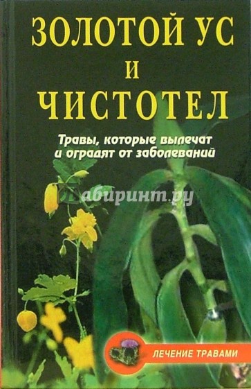 Золотой ус и чистотел: Травы, которые вылечат и оградят от заболеваний