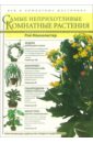 Маккалистер Рой Самые неприхотливые комнатные растения цветкова мария всеволодовна самые популярные комнатные растения