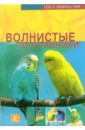 Колар Курт Волнистые попугайчики детская футболка волнистые попугайчики 140 синий