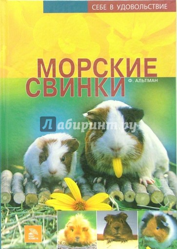 Морские свинки