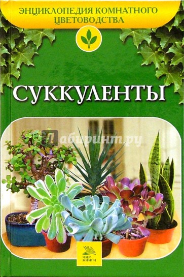 Суккуленты