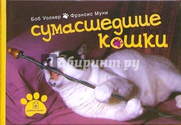 Сумасшедшие кошки