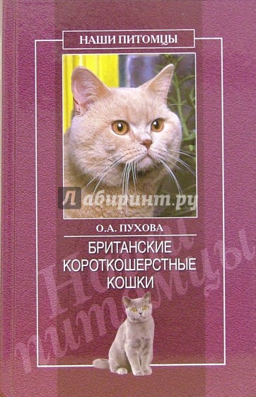 Британские короткошерстные кошки