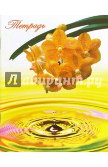 Тетрадь 48 листов клетка. Желтая орхидея (ТКЛ848921).