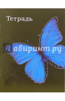 Тетрадь 48 листов, клетка. Голубая бабочка (ТКБ848734).