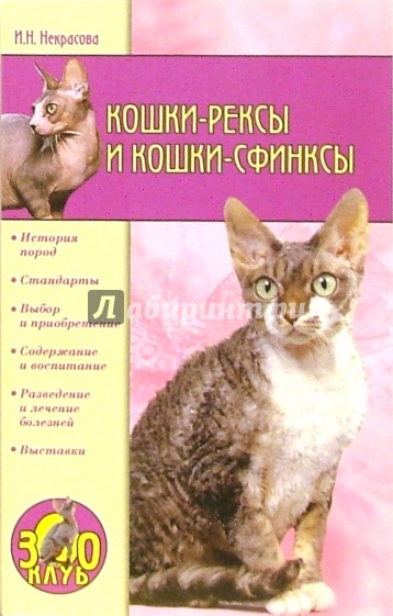 Кошки-рексы и кошки-сфинксы