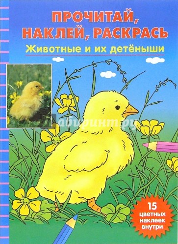 Животные и их детеныши