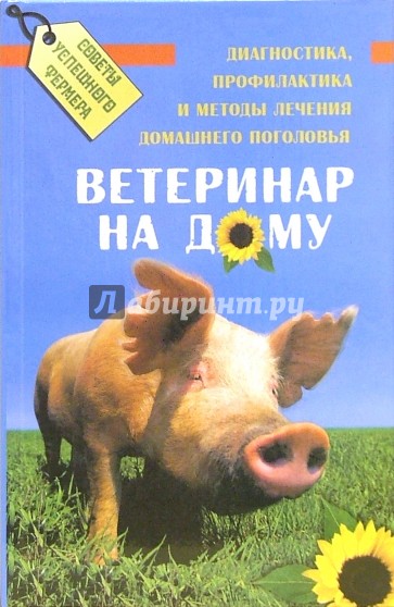 Ветеринар на дому: Диагностика, профилактика и методы лечения домашнего поголовья