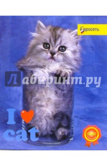 Тетрадь 48 листов 3168/4 (I love cat).