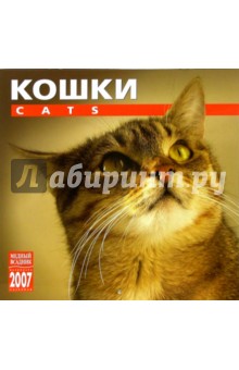 Календарь: Кошки 2007 год (07117).