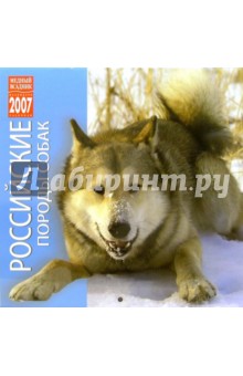 Календарь: Российские породы собак 2007 год (07212).