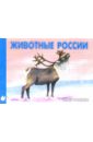 Животные Севера России. Раскраска (М-006)