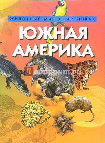 Южная Америка