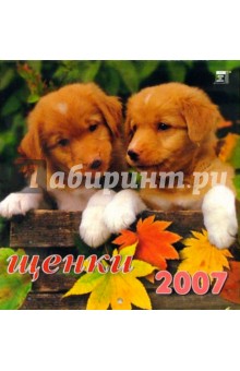 Календарь 2007 Щенки (30606).