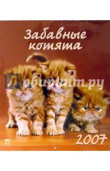 Календарь 2007 Забавные котята (40606).