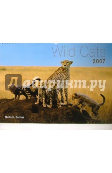: Wild Cats 2007 