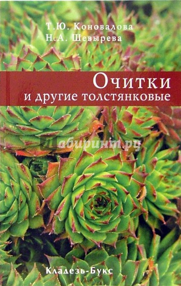 Очитки и другие толстянковые