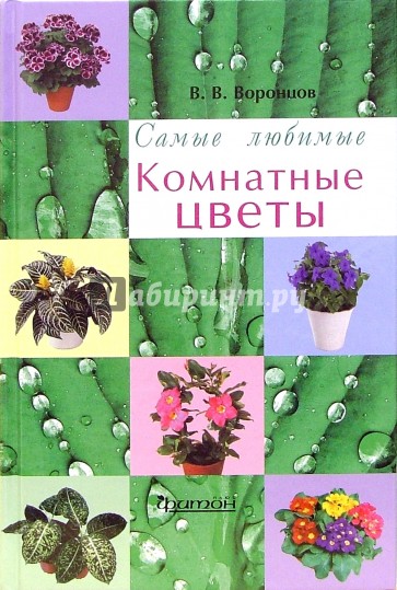 Самые любимые комнатные цветы