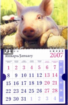 Календарь 2007 Поросенок в дровах (МО-0035).