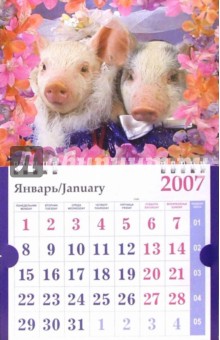 Календарь 2007 Свадебные поросята в цветах (МО-0032).