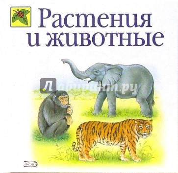 Растения и животные