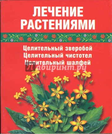 Лечение растениями. Целительный зверобой, целительный чистотел, целительный шалфей