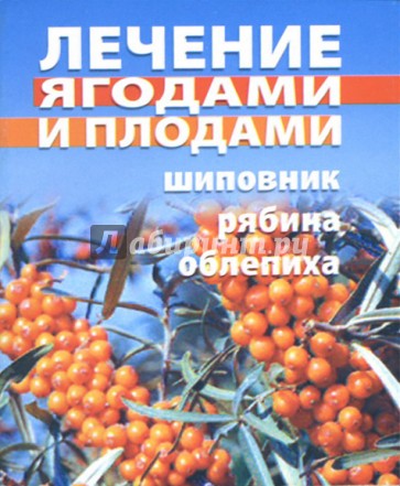 Лечение ягодами и плодами. Шиповник, рябина, облепиха