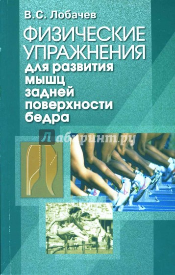 Физические упражнения для развития мышц задней поверхности бедра