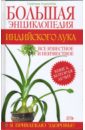 Большая энциклопедия индийского лука - Корзунова Алевтина Николаевна