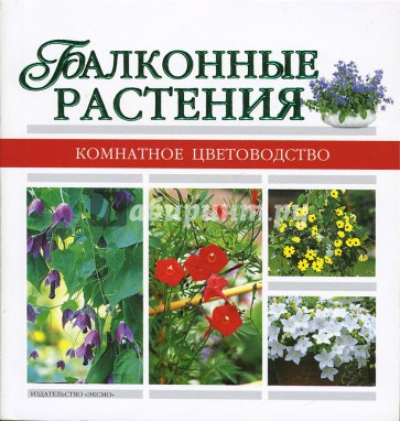 Балконные растения