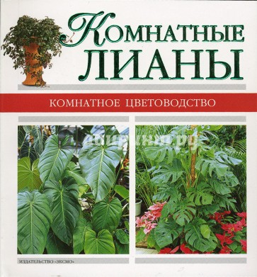 Комнатные лианы