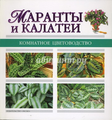 Маранты и калатеи