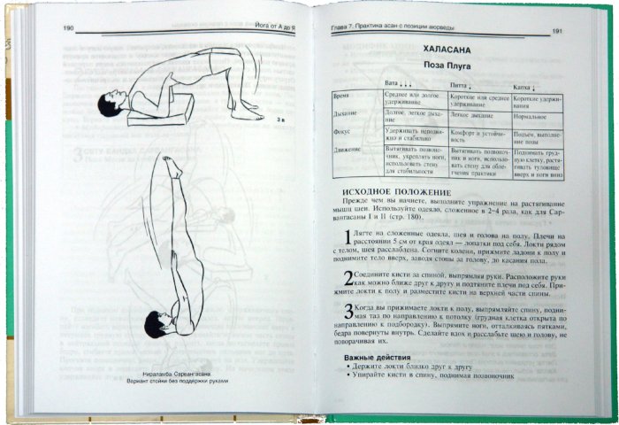 Иллюстрация 1 из 7 для Йога от А до Я. Практика асан с позиции Аюрведы - Дэвид Фроли | Лабиринт - книги. Источник: Лабиринт