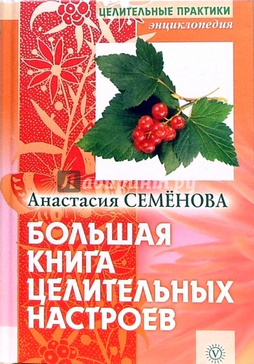 Большая книга целительных настроев