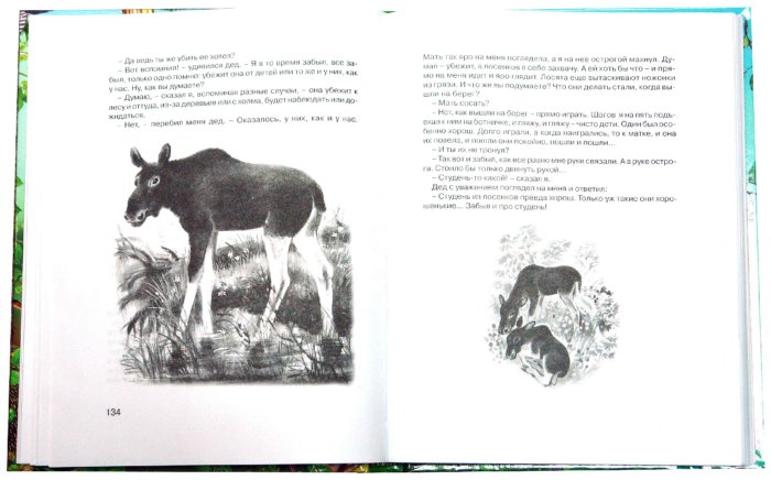 Иллюстрация 2 из 14 для 300 страниц про зверей и птиц | Лабиринт - книги. Источник: Лабиринт