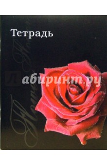 Тетрадь 48 листов, клетка (ТКБ848818) Красная роза.