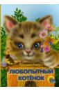 Пыльцына Елена Евгеньевна Любопытный котенок