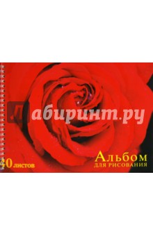 Альбом для рисования 40 листов Красная роза (АЛС340215).