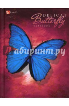 Книга для записей 64 листа Волшебная бабочка (КЗБ164724).