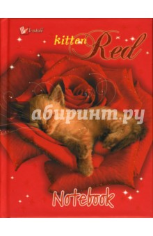 Книга для записей 64 листа Рыжий котенок (КЗБ164714).