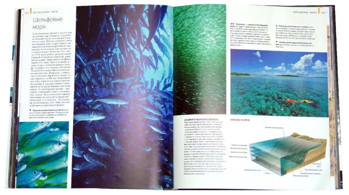 Иллюстрация 2 из 65 для Океаны - Хатчинсон, Хоукинс | Лабиринт - книги. Источник: Лабиринт