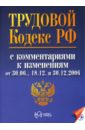 Васина Юлия Трудовой кодекс Российской Федерации с комментариями к изменениям от 30.06., 18.12. и 30.12.2006