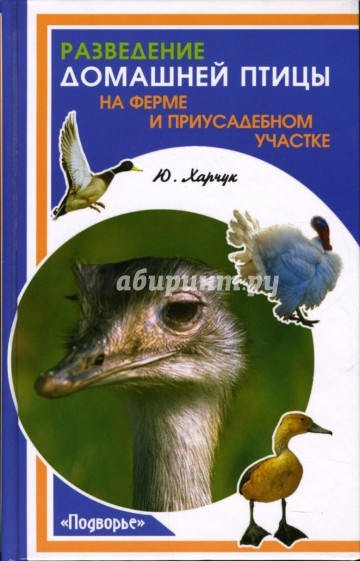 Разведение домашней птицы на ферме и приусадебном участке